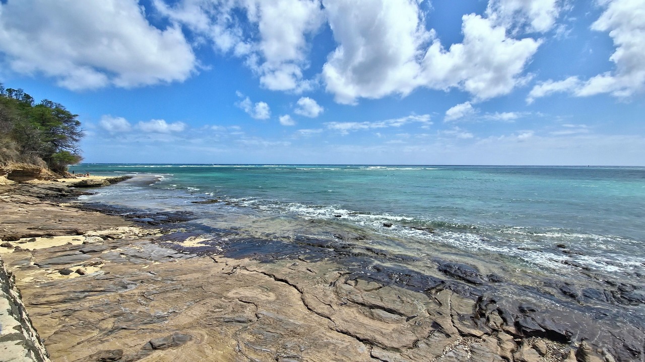 Photo of Others in 'Aina Haina