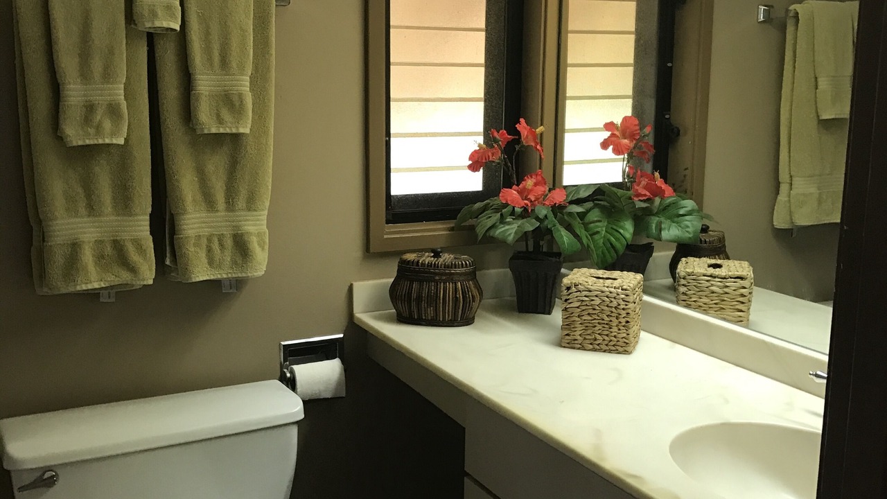 Photo of Bathroom in Maunaloa
