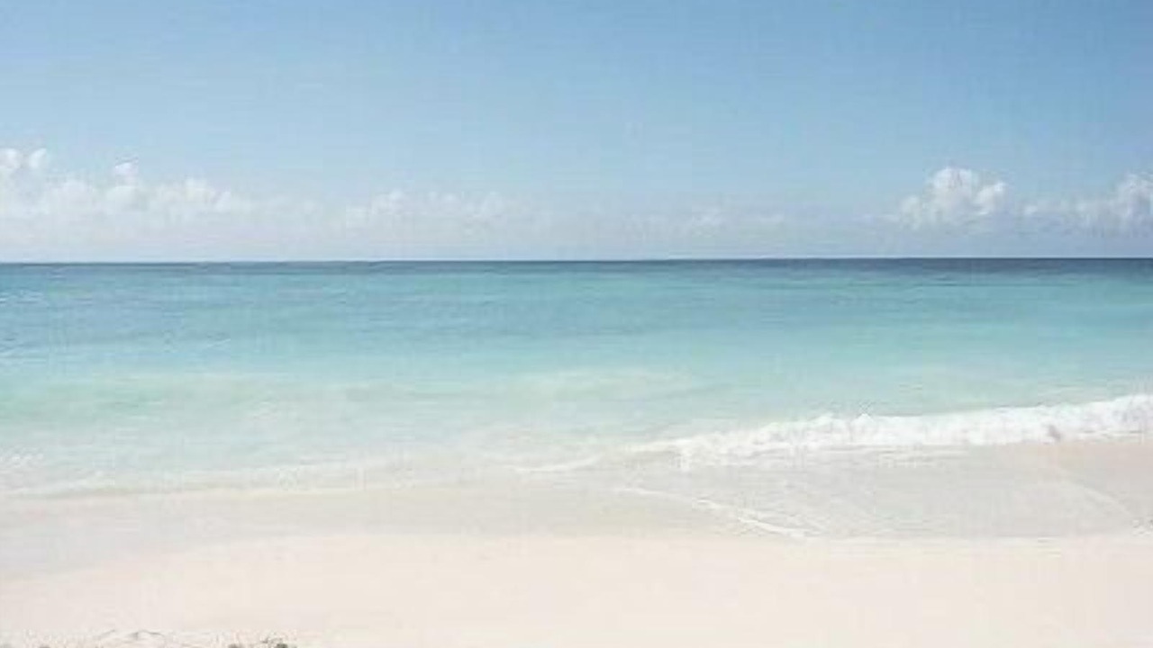 Photo of Others in Bavaro