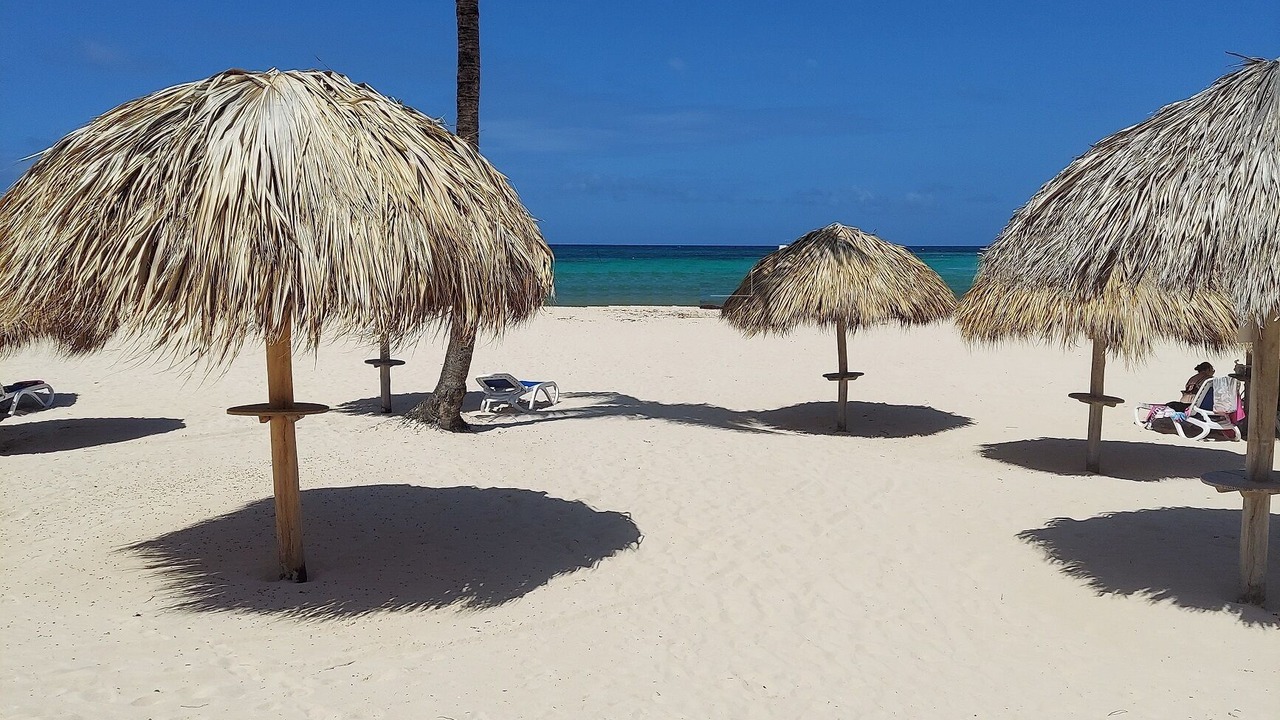 Photo of Others in Bavaro