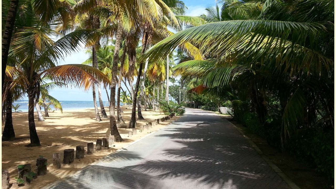 Photo of Others in Las Terrenas