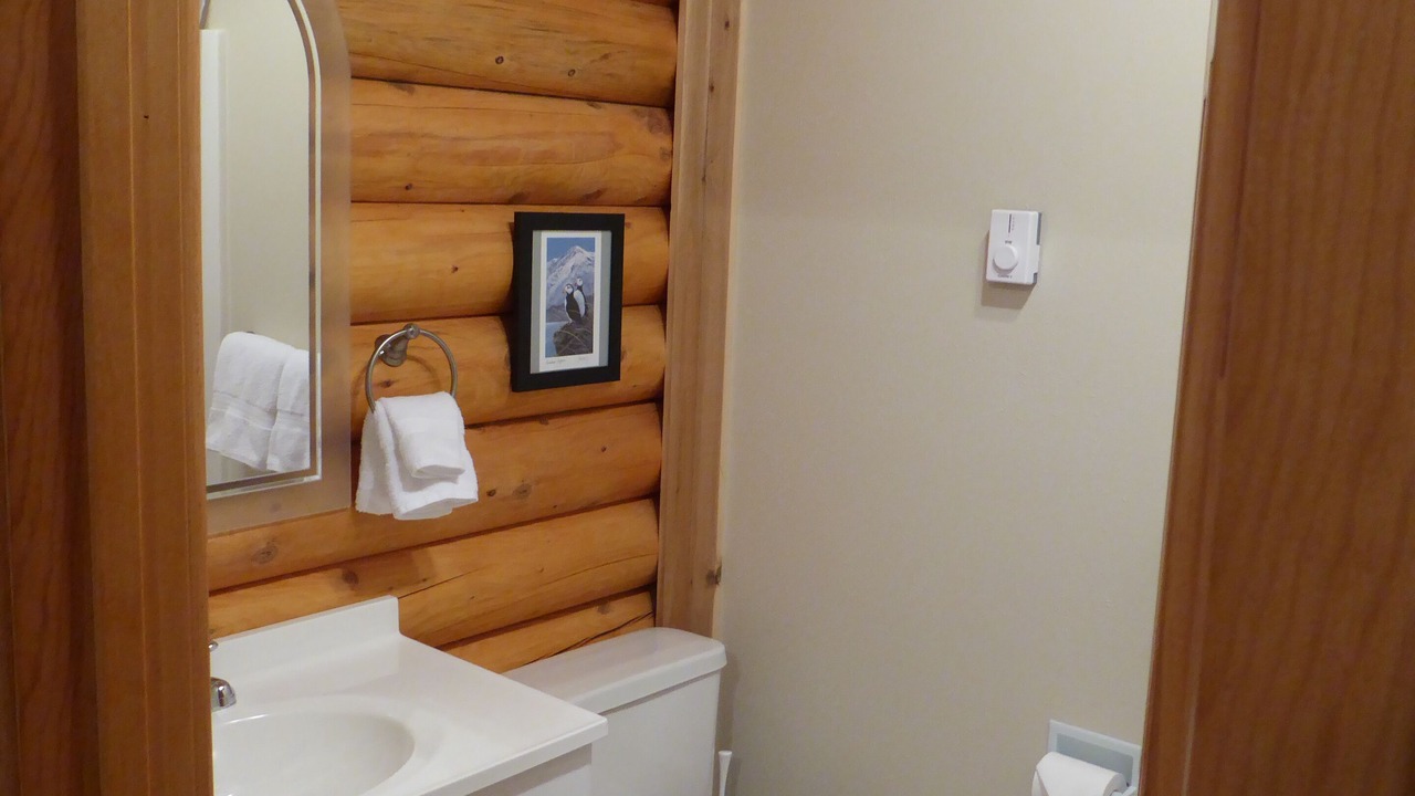Photo of Bathroom in Homer