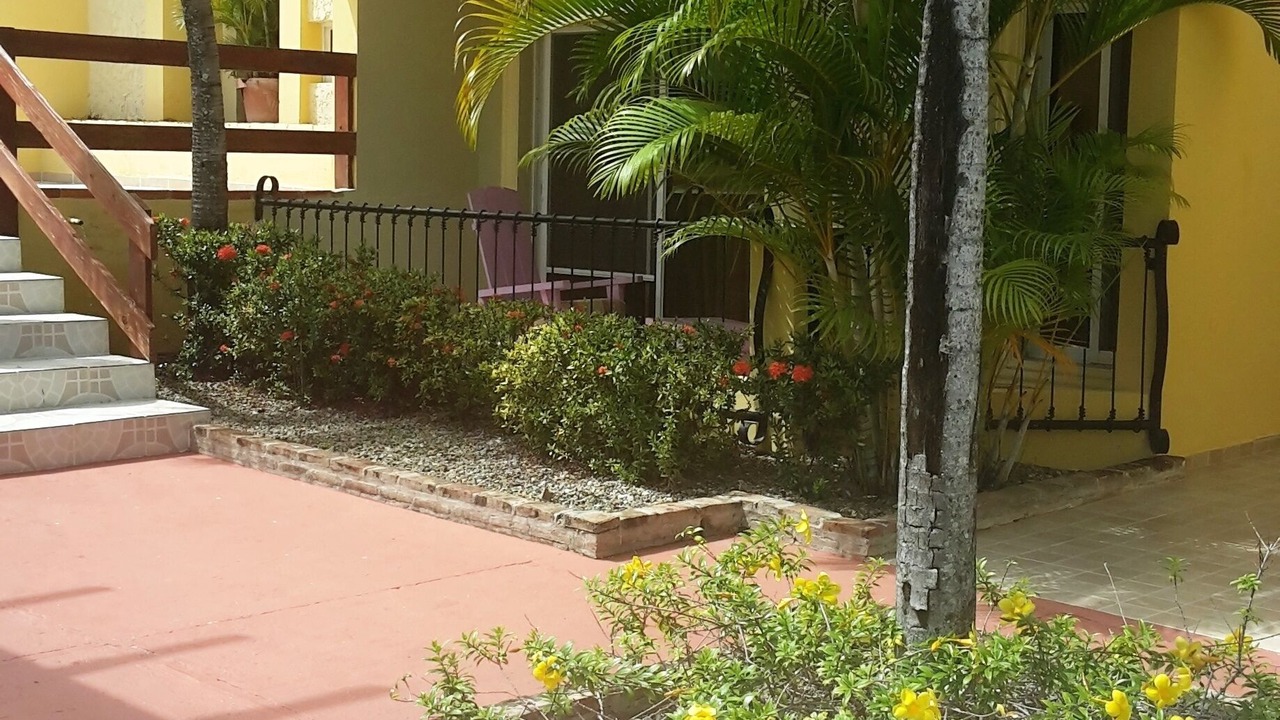 Photo of Outdoor in El Batey