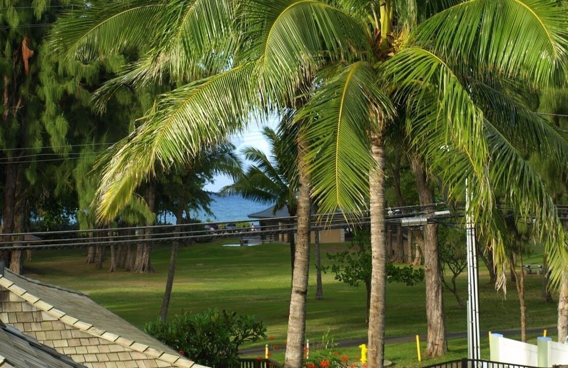 Photo of Others in Kailua