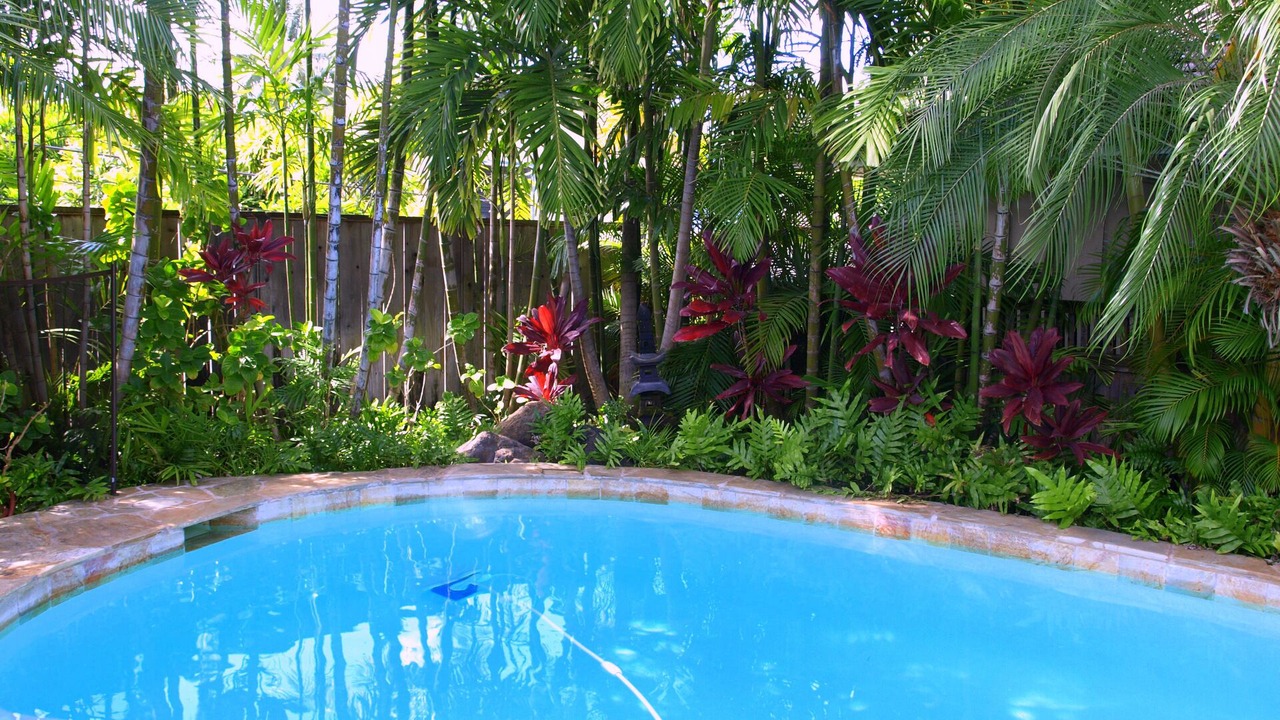 Photo of Others in Kailua