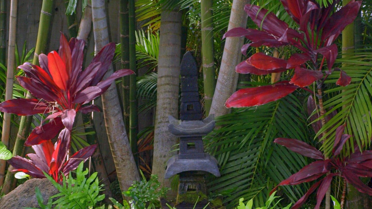Photo of Others in Kailua