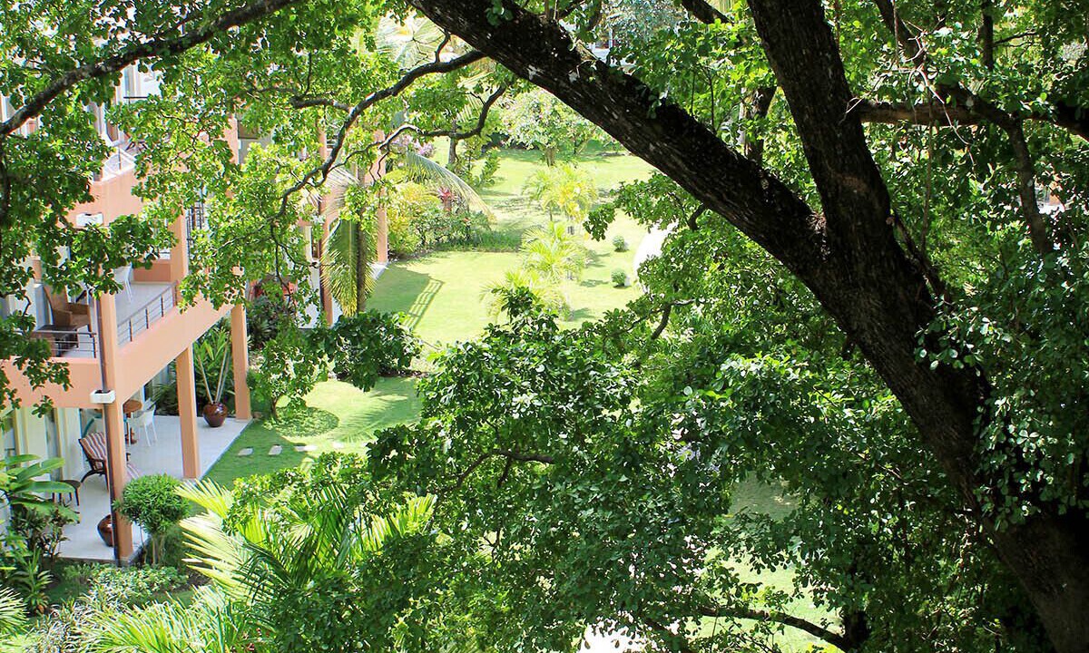 Photo of Outdoor in El Batey