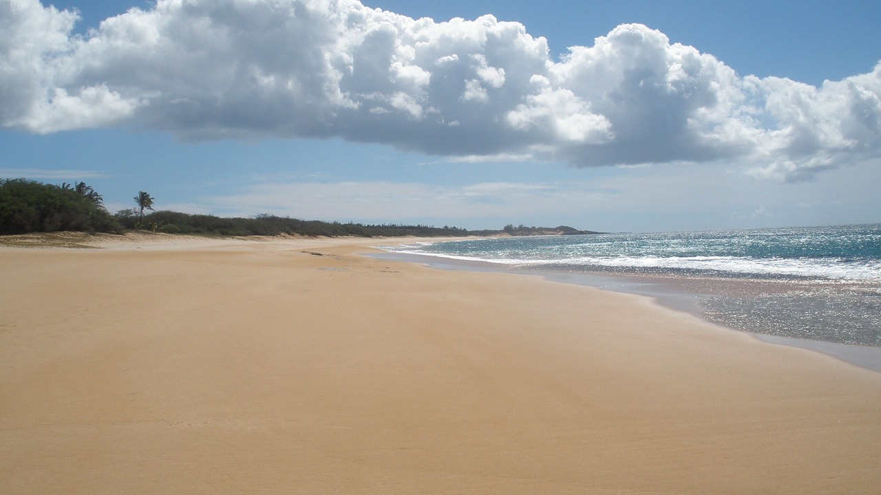 Photo of Others in Lanai City