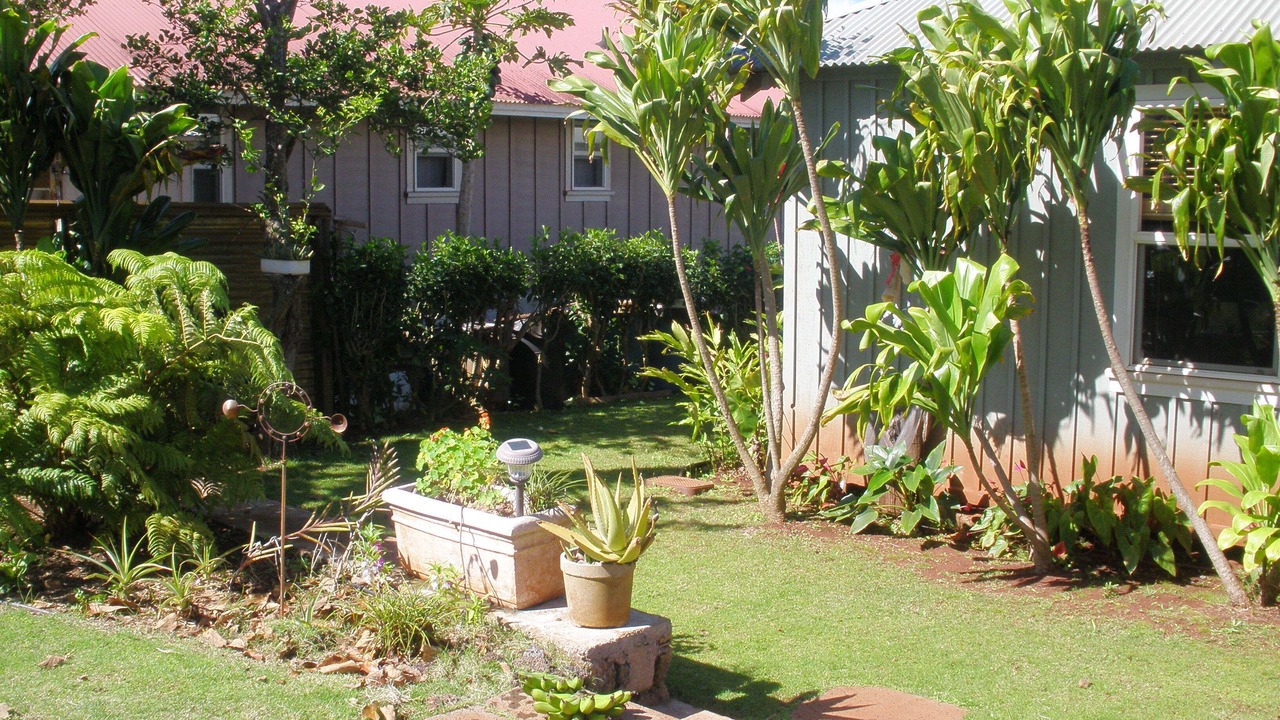 Photo of Others in Lanai City