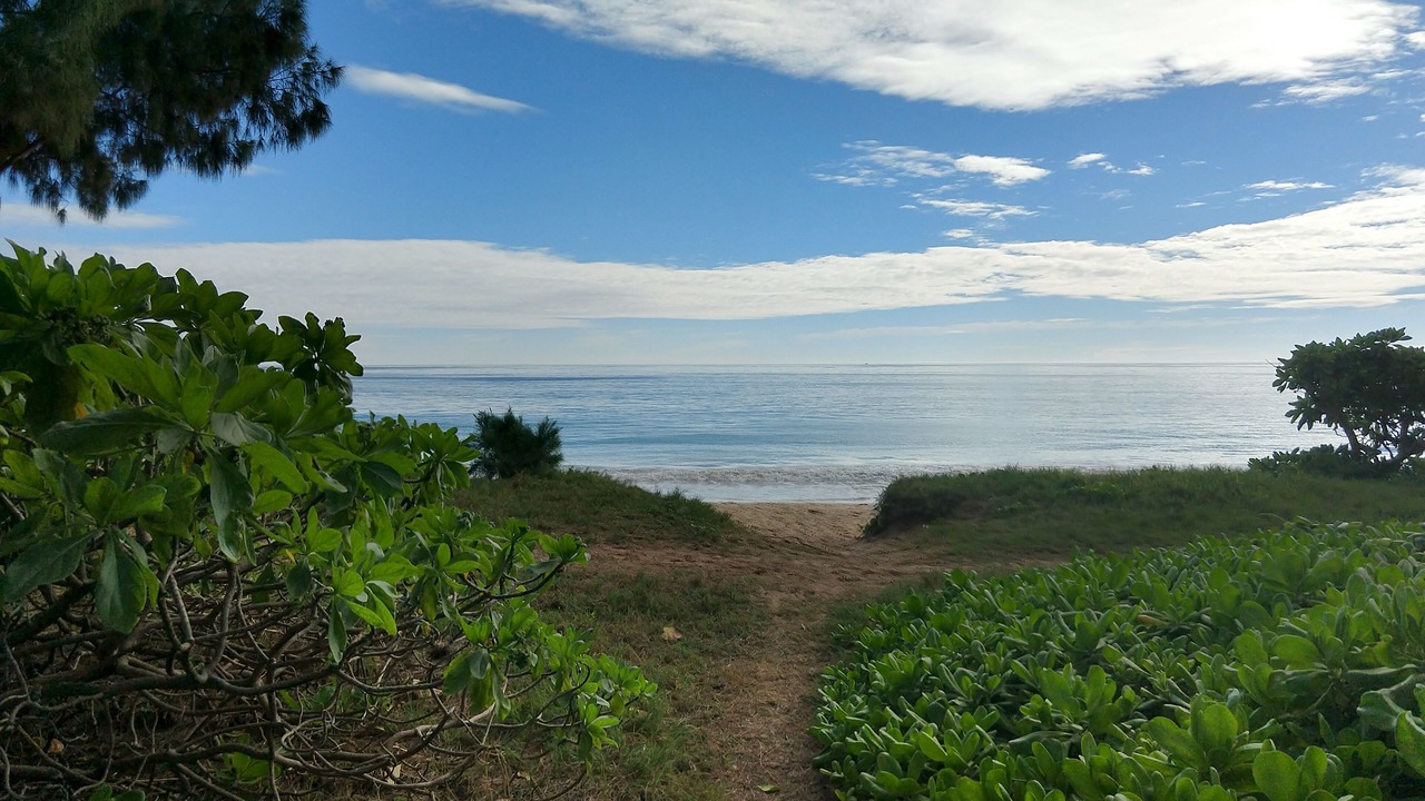 Photo of Others in Waimanalo Beach