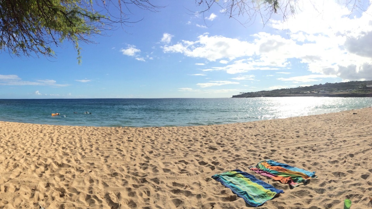 Photo of Others in Lanai City