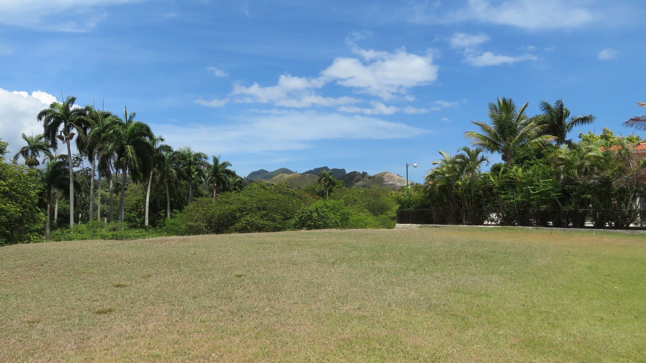 Photo of Outdoor in Cofresi