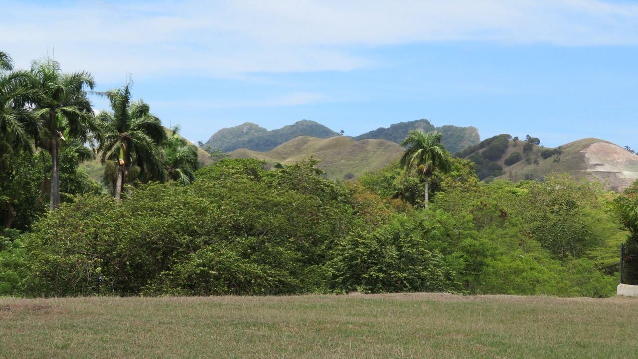 Photo of Outdoor in Cofresi