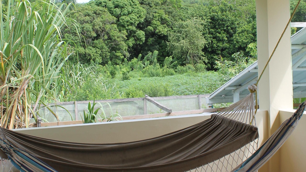 Photo of Patio Balcony in Imbert