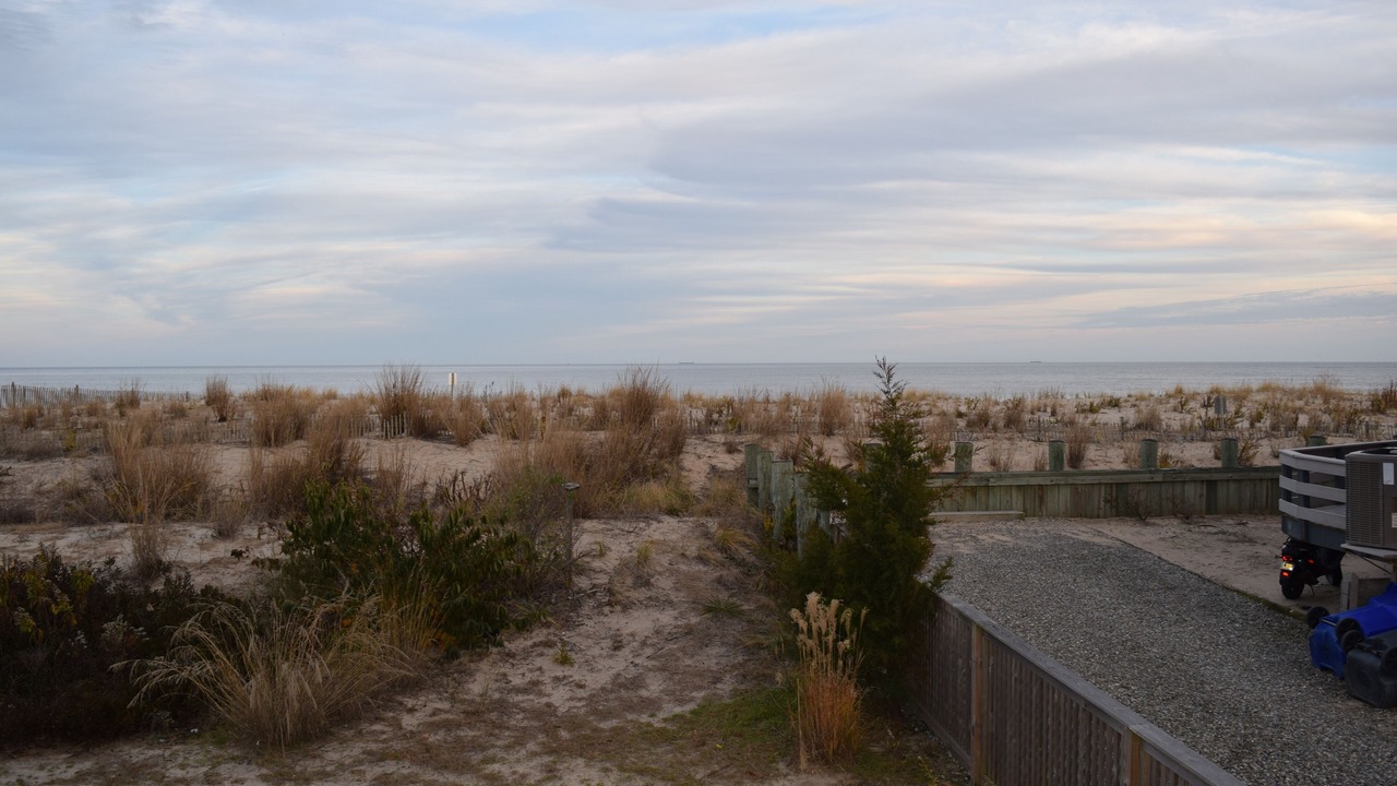 Photo of Others in Dewey Beach