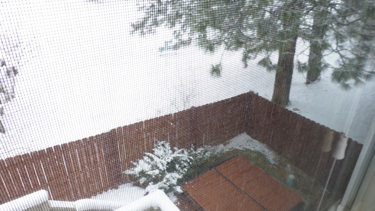 Photo of Others in Cottonwood Heights