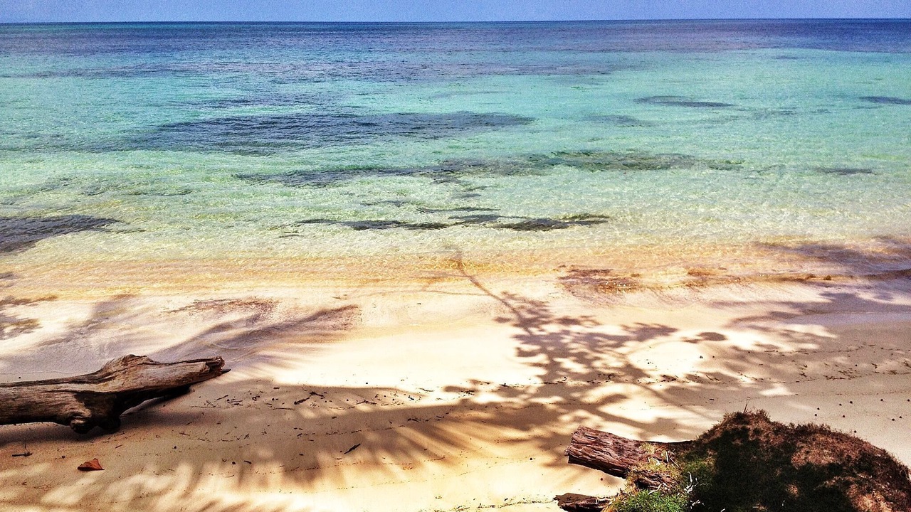 Photo of Others in Las Terrenas