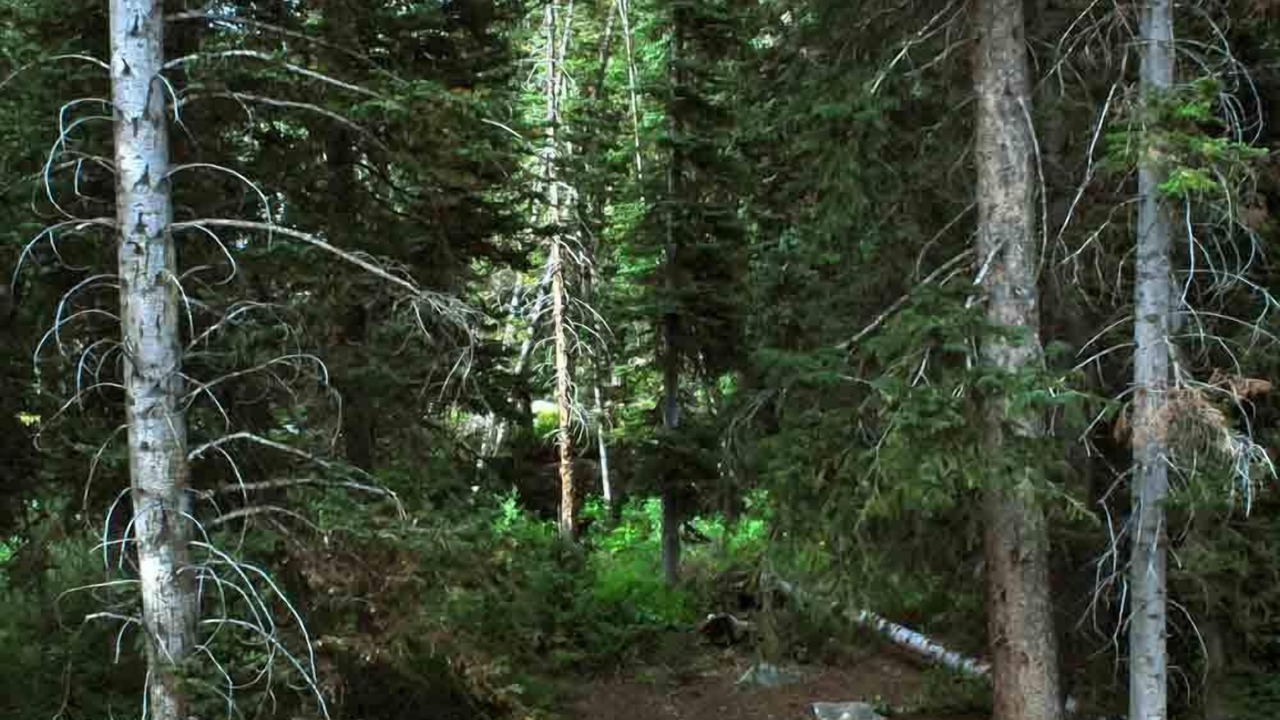 Photo of Others in Salt Lake Mountain Resorts