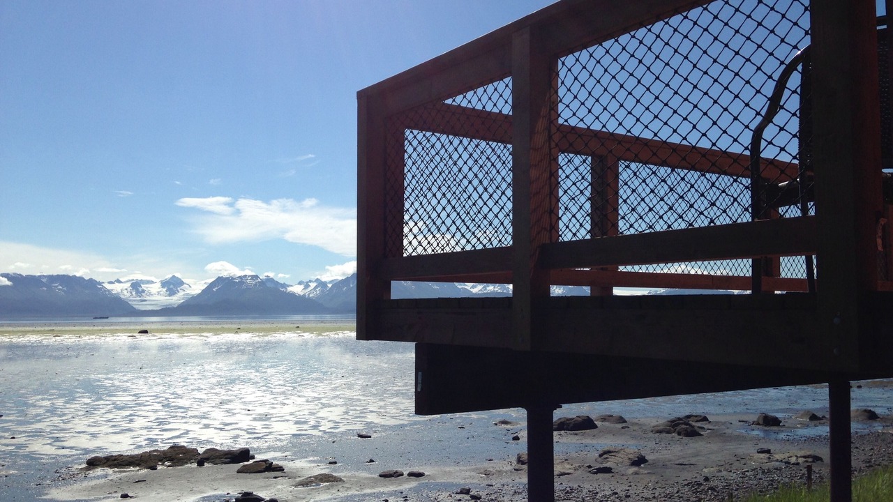 Photo of Outdoor in Homer