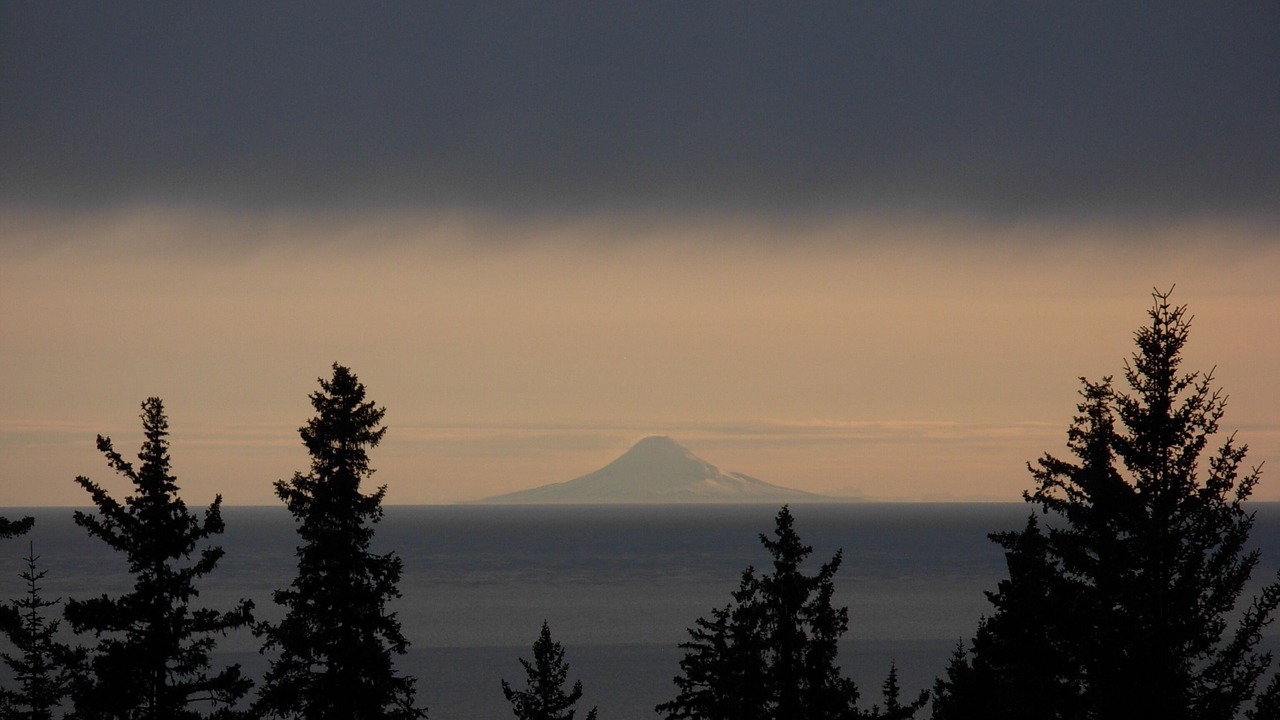 Photo of Others in Diamond Ridge