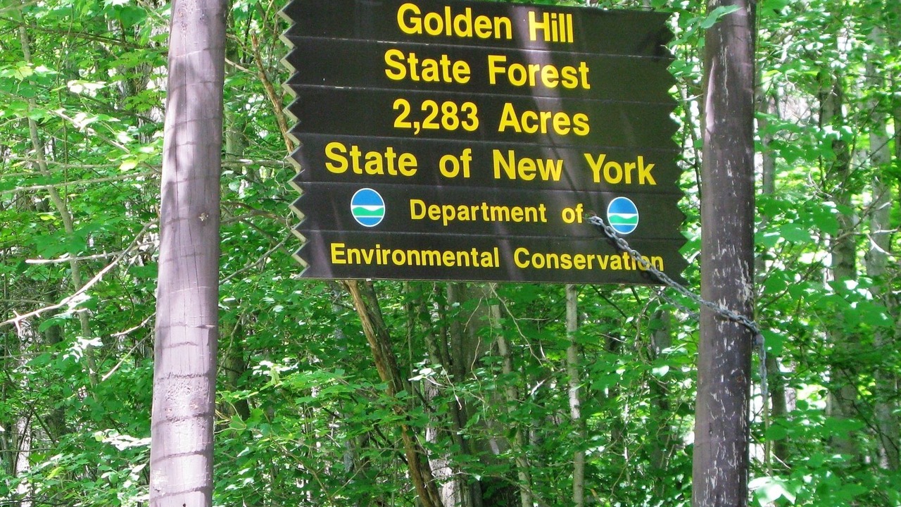 Photo of Outdoor in Great Valley