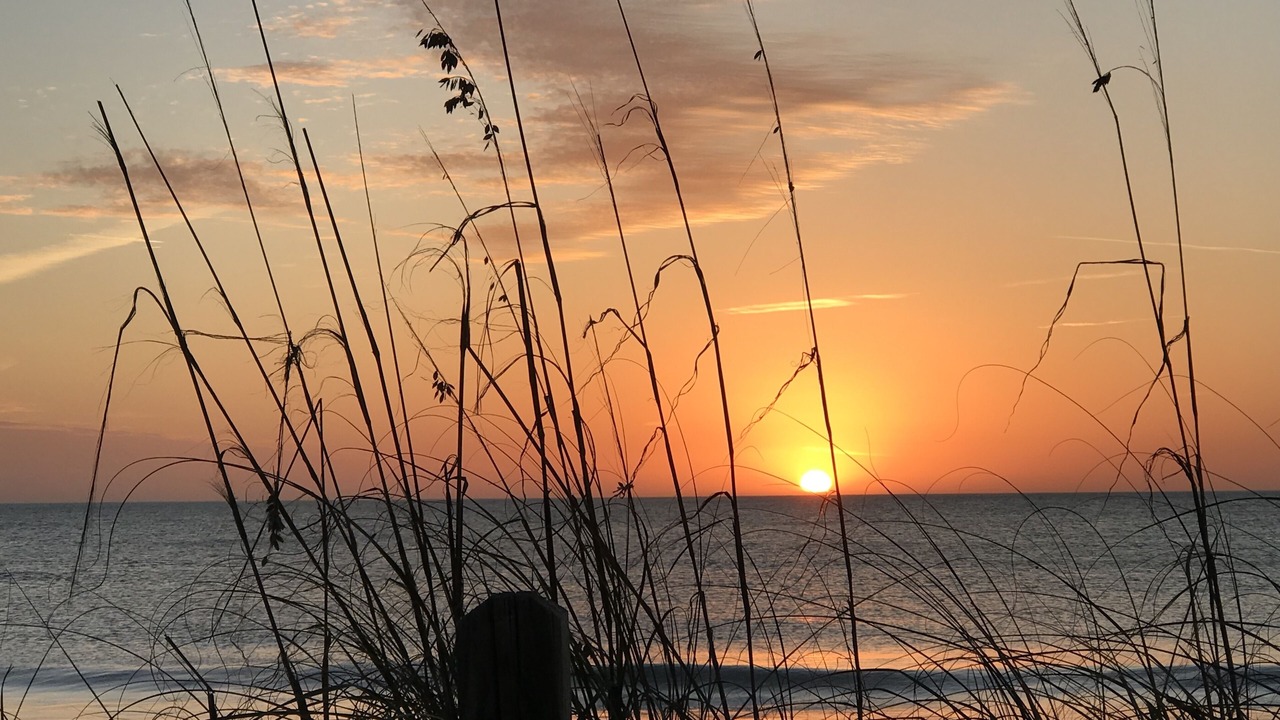 Photo of Others in Longboat Key