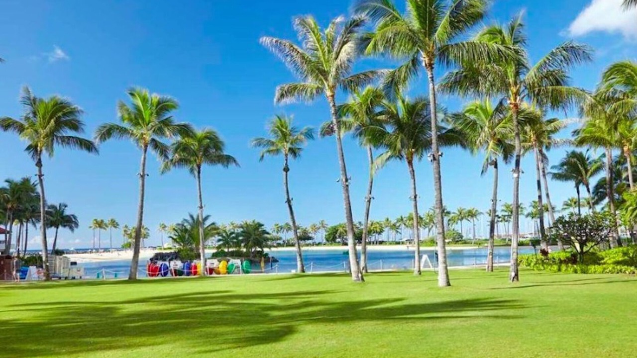 Photo of Others in Waikiki