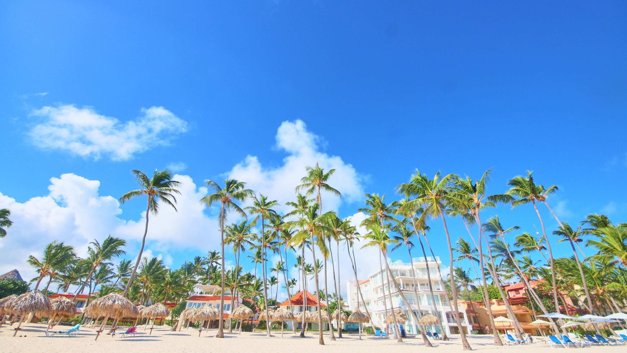 Photo of Others in Bavaro