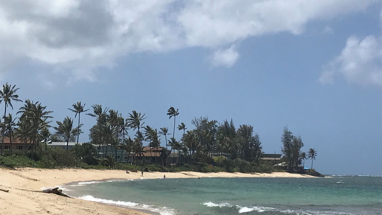 Photo of Others in Waialua