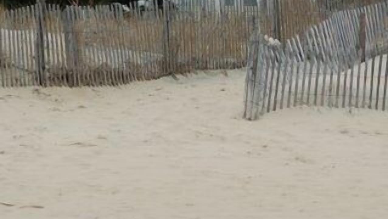 Photo of Others in Rehoboth by the Sea