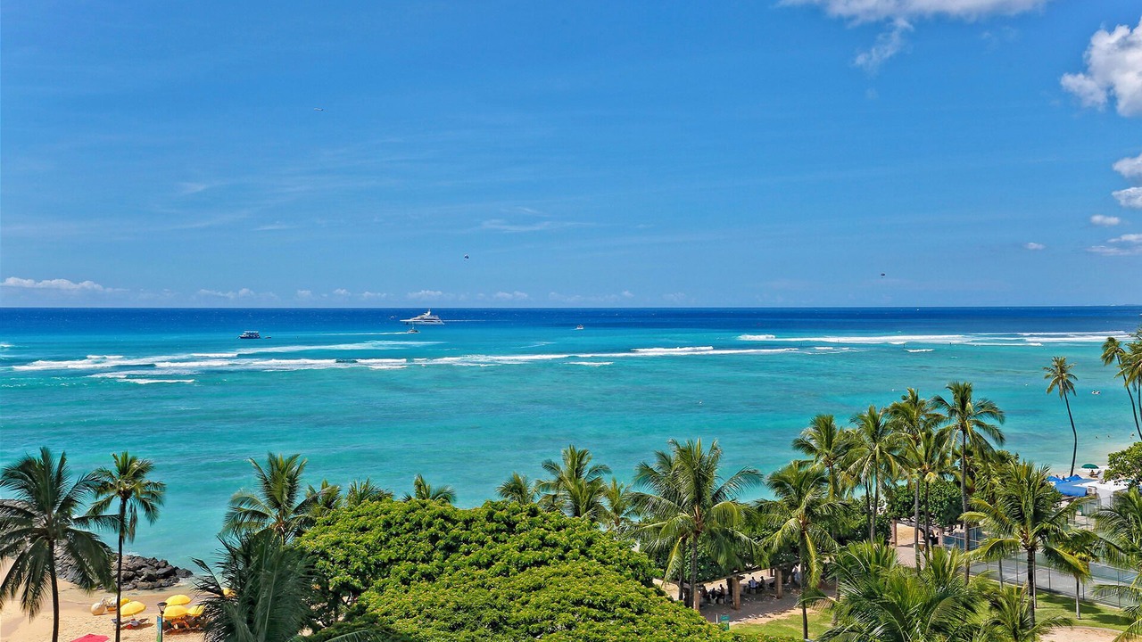 Photo of Others in Waikiki