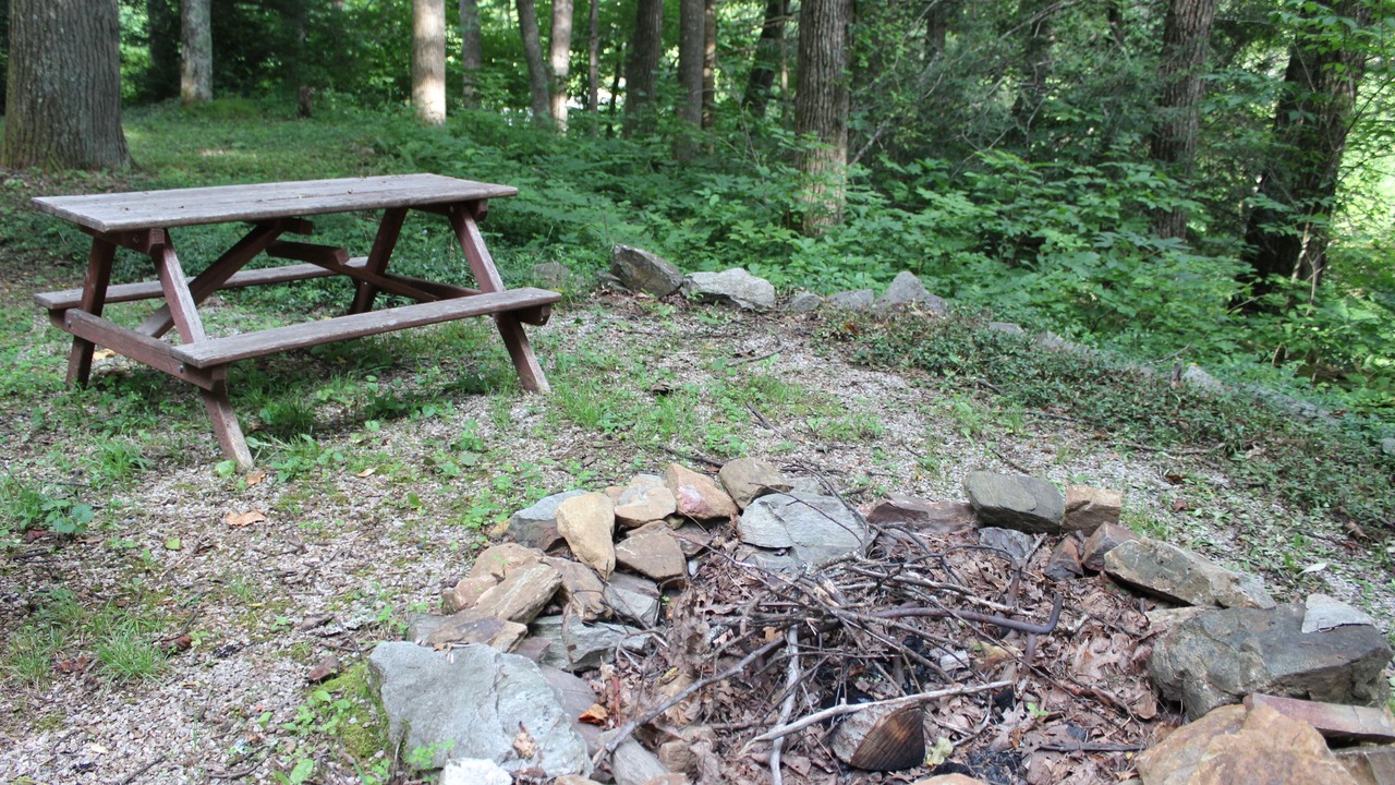Photo of Others in Spruce Pine