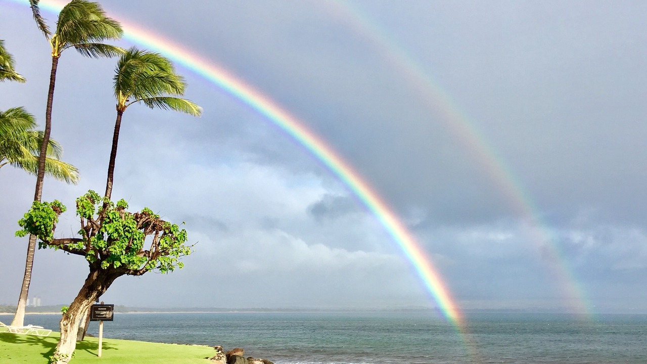 Photo of Others in Maalaea