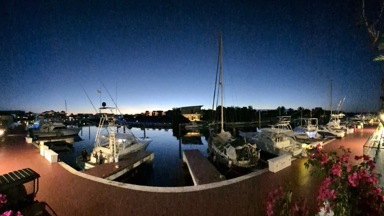 Photo of Others in Cap Cana Marina