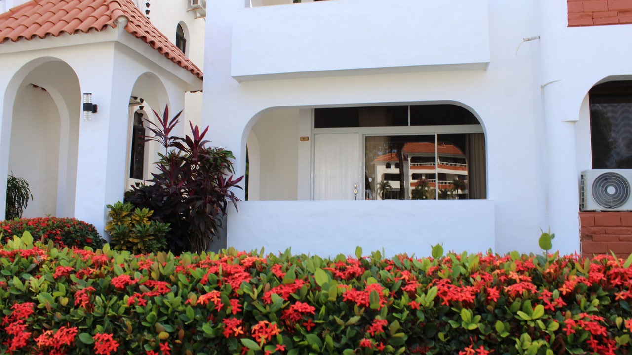 Photo of Outdoor in La Mulata