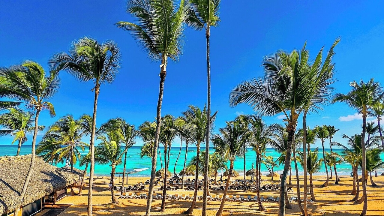 Photo of Others in Punta Cana