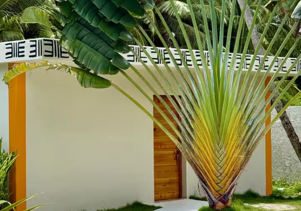 Photo of Outdoor in Las Terrenas