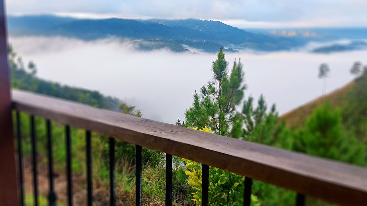 Photo of Outdoor in Constanza