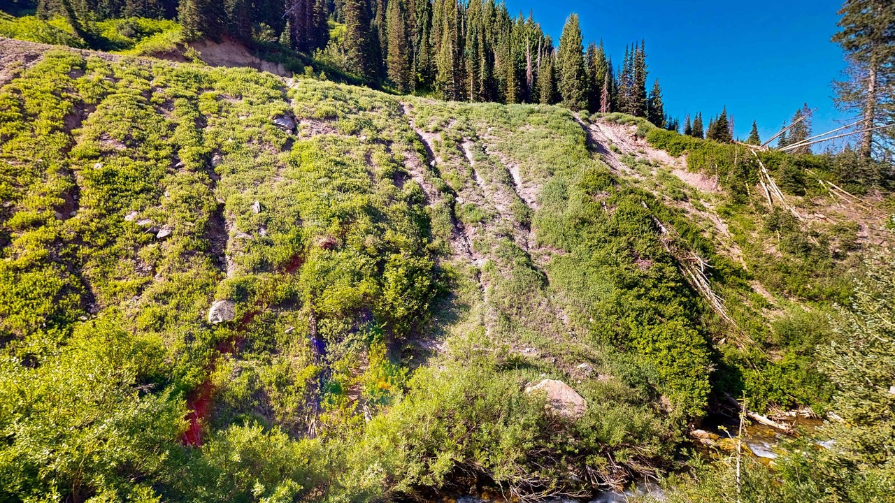 Photo of Others in Salt Lake Mountain Resorts