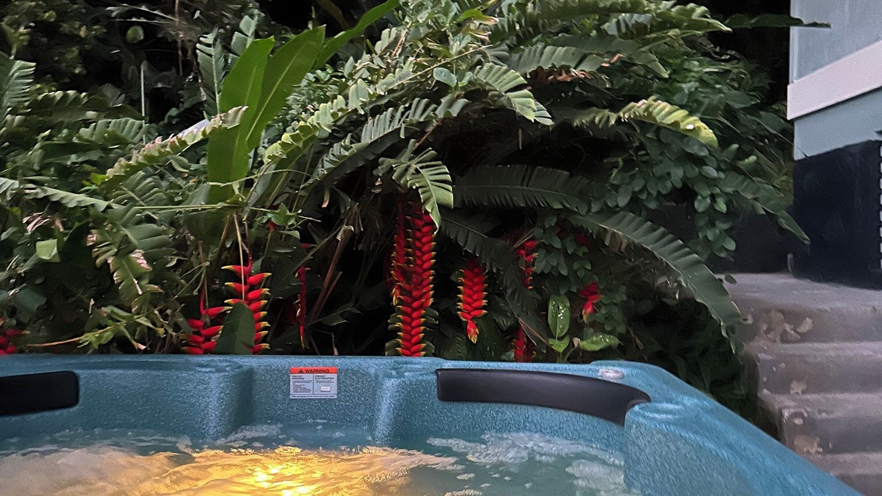 Photo of Outdoor in Manoa