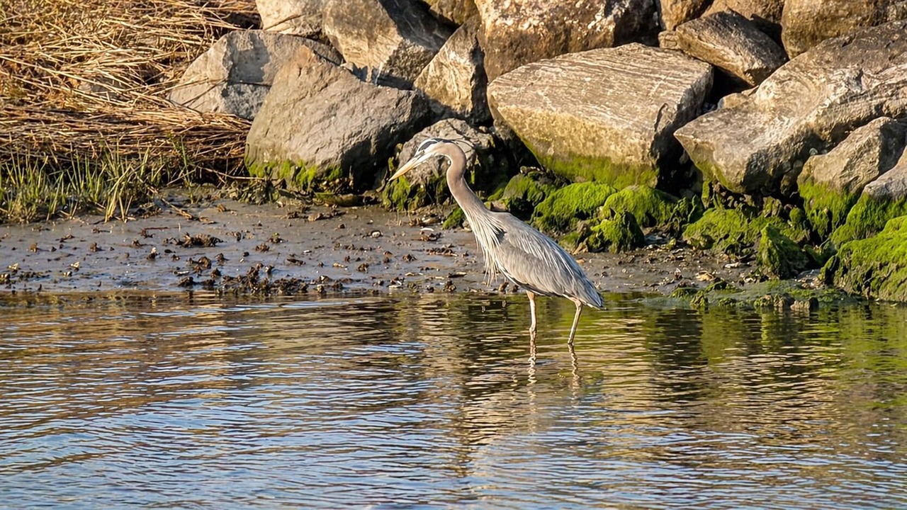 Photo of Others in Long Neck