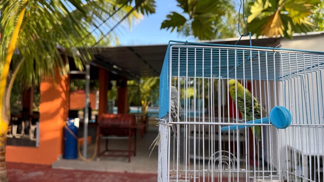 Photo of Outdoor in Higuey