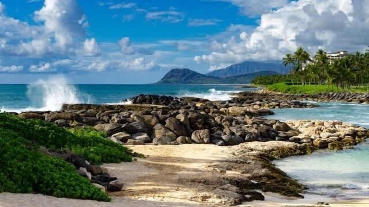 Photo of Others in Kapolei