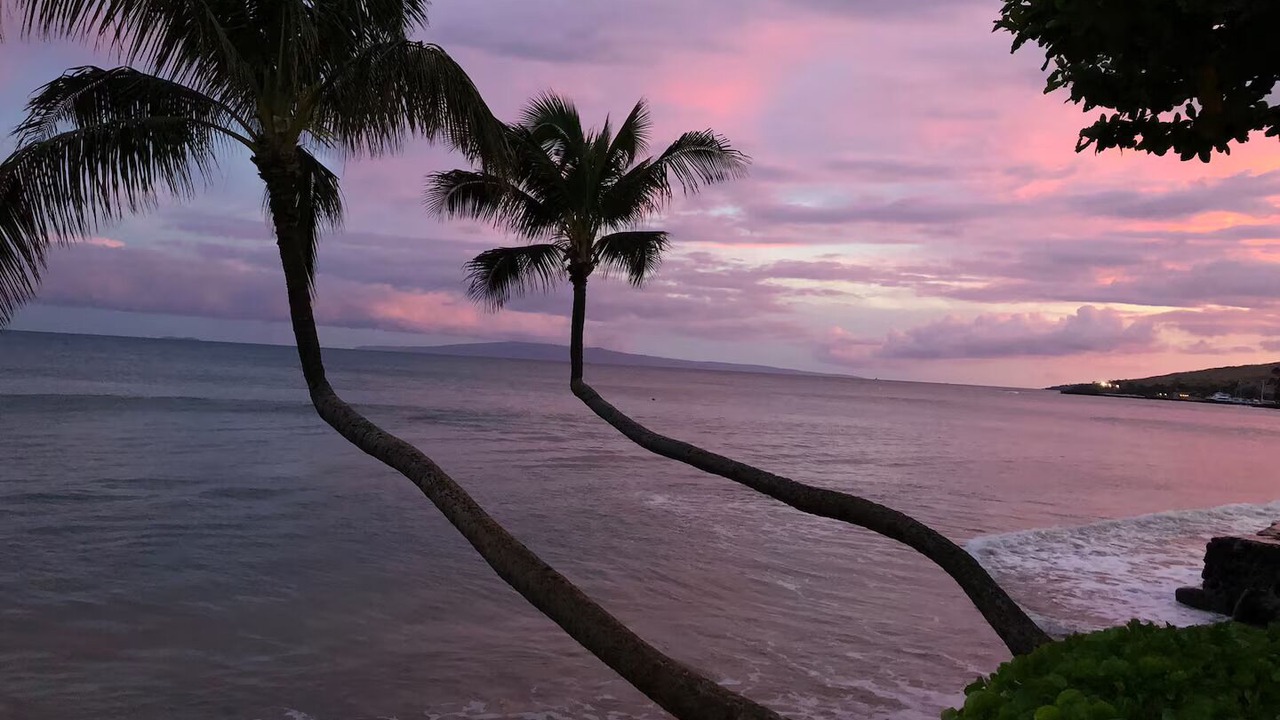 Photo of Others in Maalaea