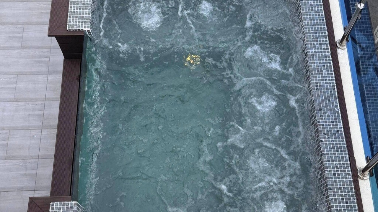 Photo of Outdoor in Tropical del Este