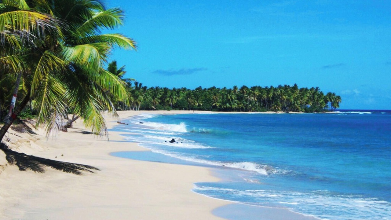 Photo of Others in Corales del Sur
