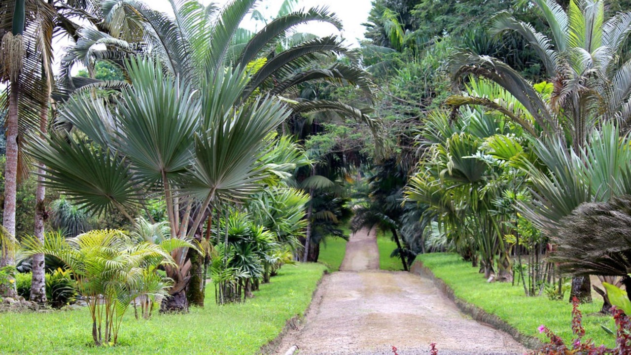 Photo of Outdoor in Corales del Sur