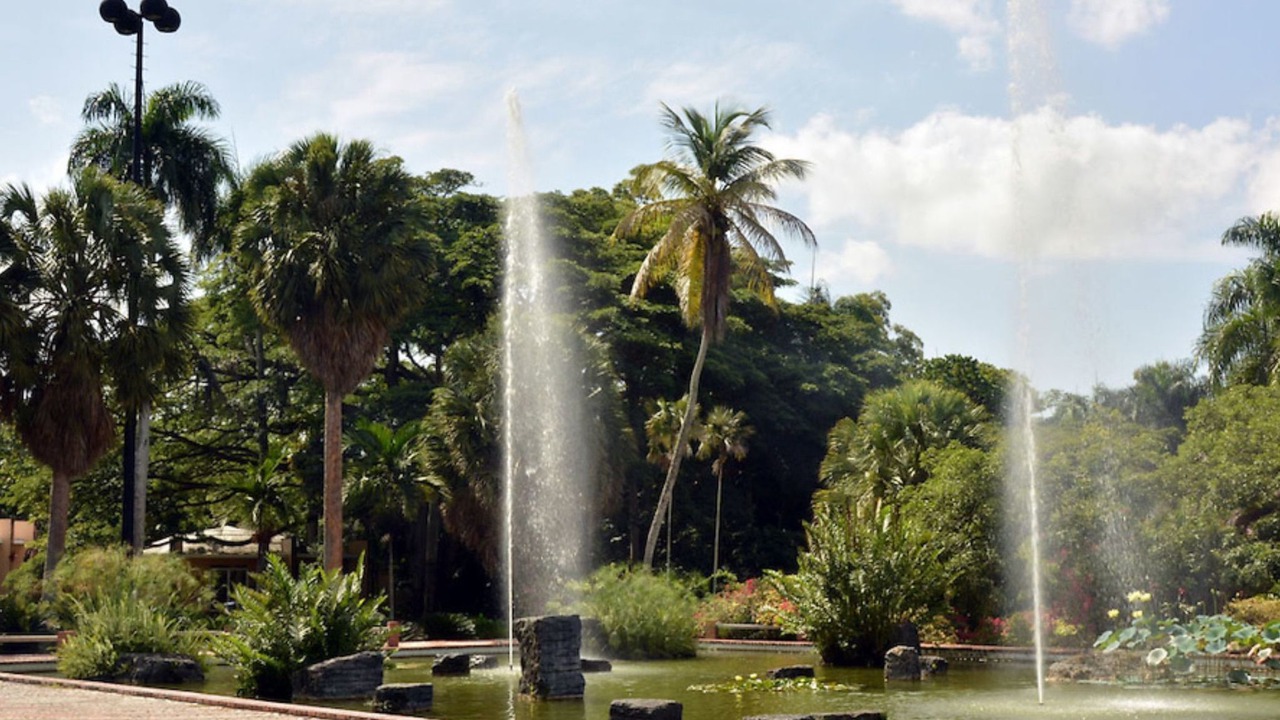 Photo of Outdoor in Corales del Sur