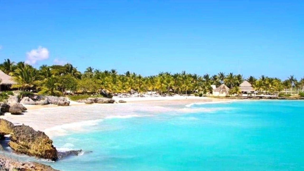 Photo of Others in Cap Cana Marina