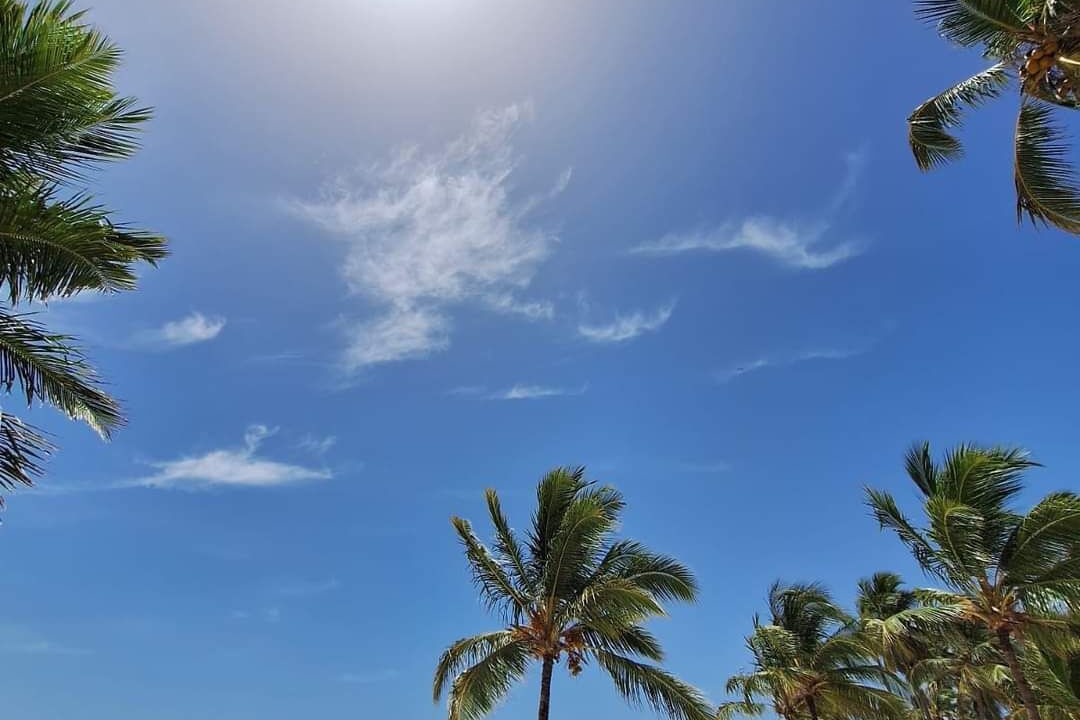 Photo of Others in Bavaro